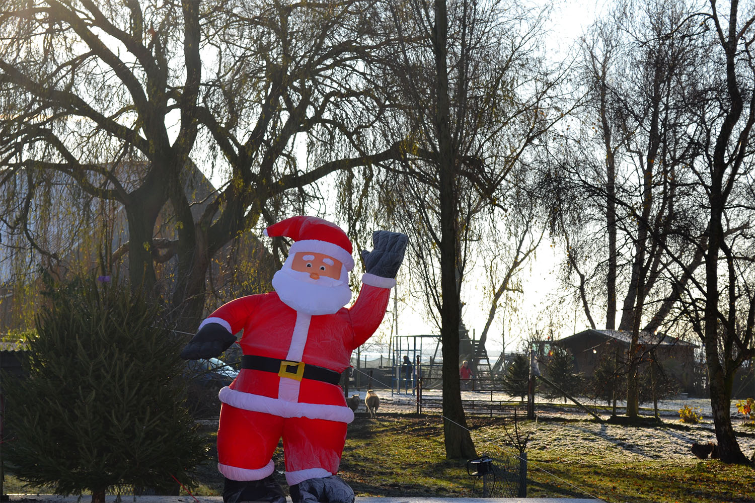 Nordmann Excellent kerstbomen Badhoevedorp